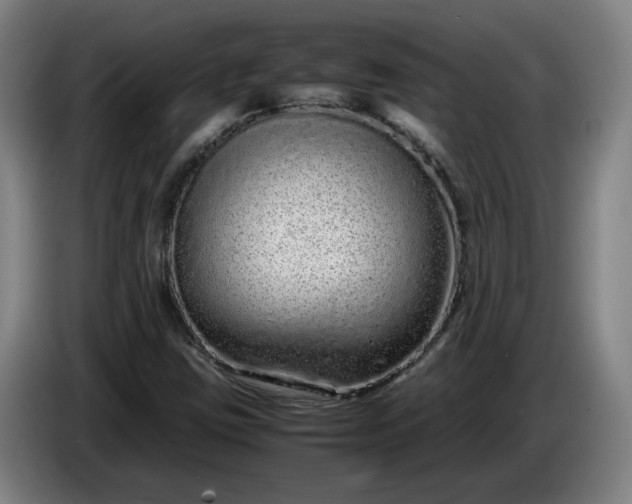 X0000085781403200703301415