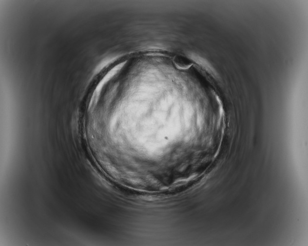 X0000085781404200703301415