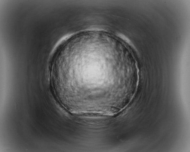 X0000085781408200703301415