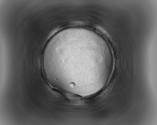 X0000085781409200703301415