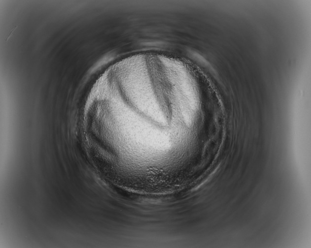 X0000085781411200703301415