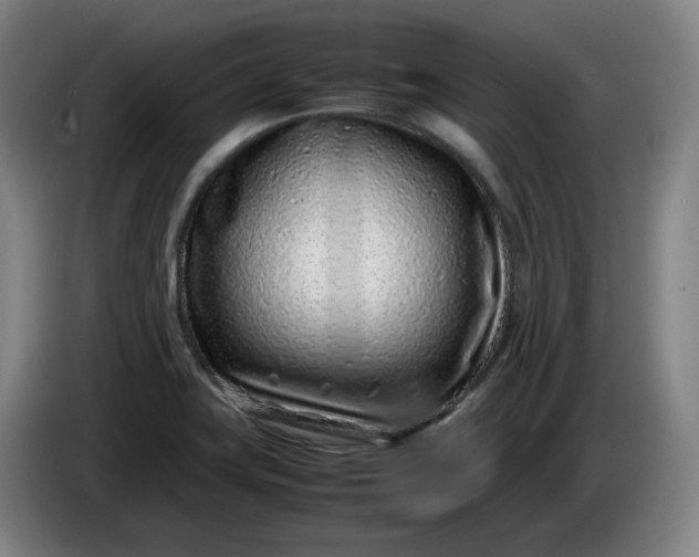 X0000085781419200703301415