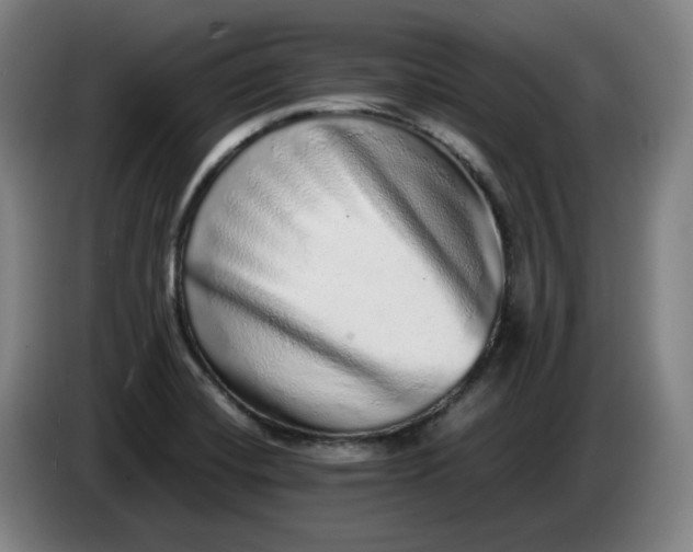 X0000085781420200703301415