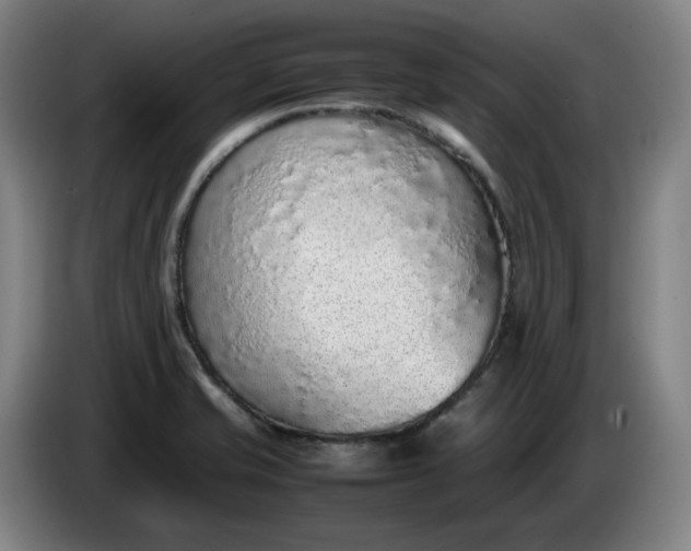 X0000085781421200703301415