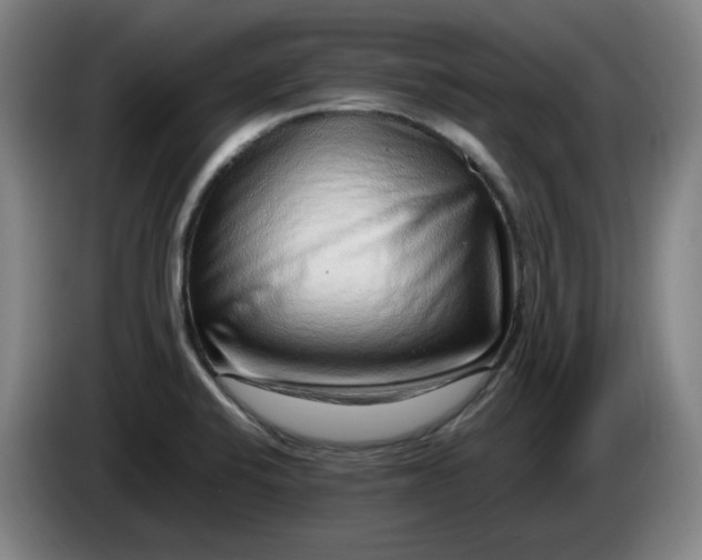 X0000085781424200703301415