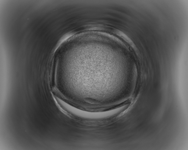 X0000085781425200703301415