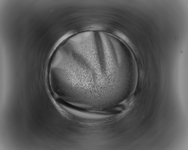 X0000085781426200703301415