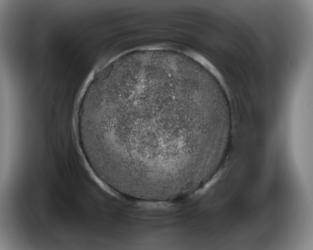 X0000085781429200703301415