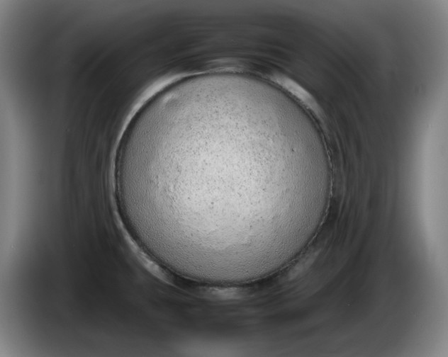 X0000085781431200703301415