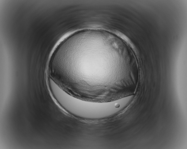 X0000085781432200703301415