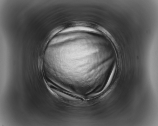 X0000085781433200703301415