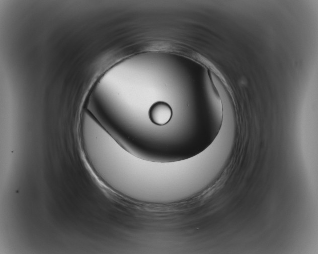 X0000085781434200703301415