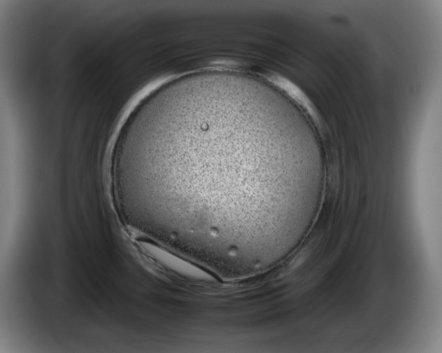 X0000085781435200703301415