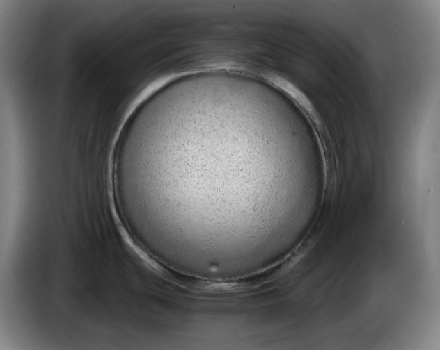 X0000085781439200703301415