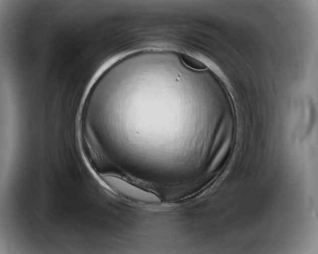 X0000085781440200703301415