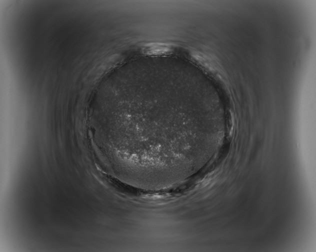 X0000085781441200703301415