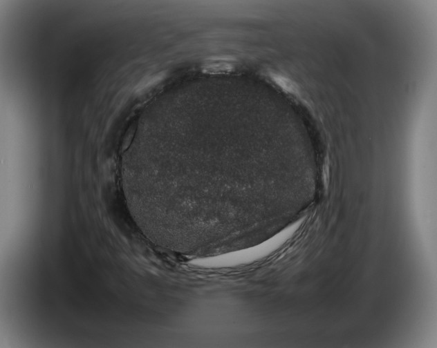 X0000085781445200703301415