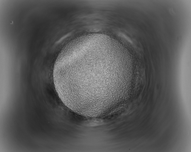 X0000085781446200703301415