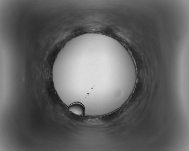 X0000085781447200703301415