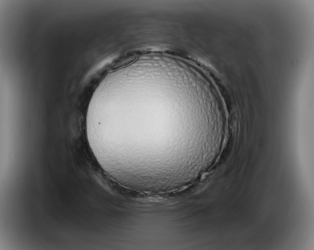 X0000085781448200703301415