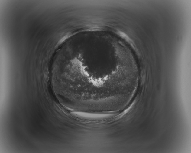 X0000085781449200703301415