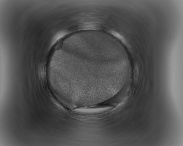 X0000085781450200703301415