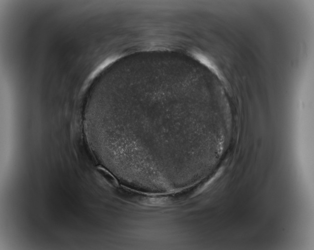 X0000085781453200703301414