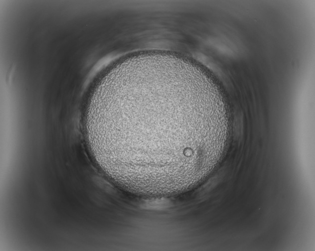 X0000085781454200703301414