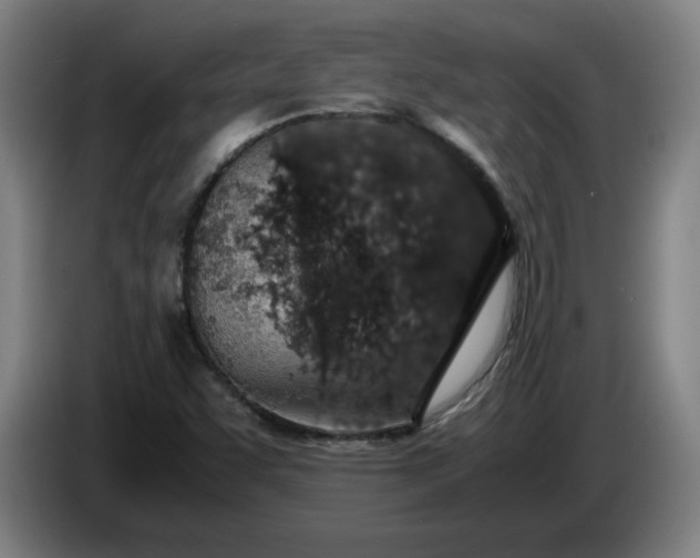 X0000085781455200703301414