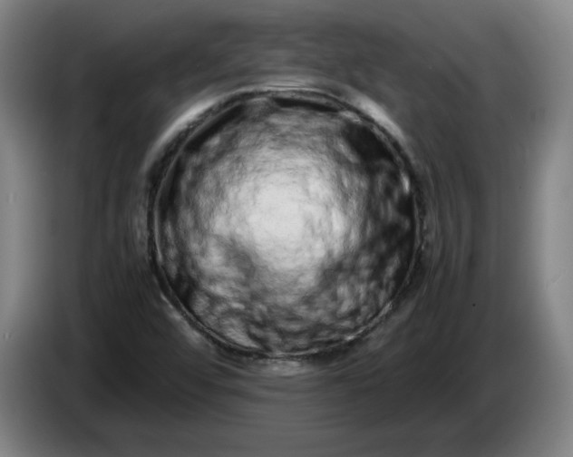 X0000085781456200703301414