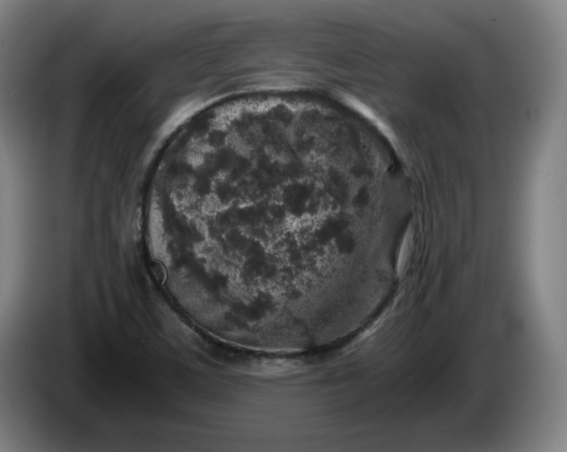 X0000085781459200703301414