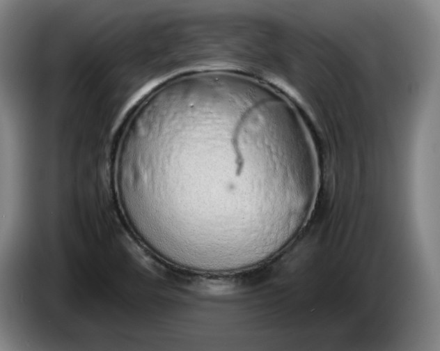 X0000085781460200703301414