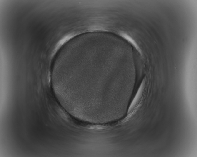 X0000085781461200703301414