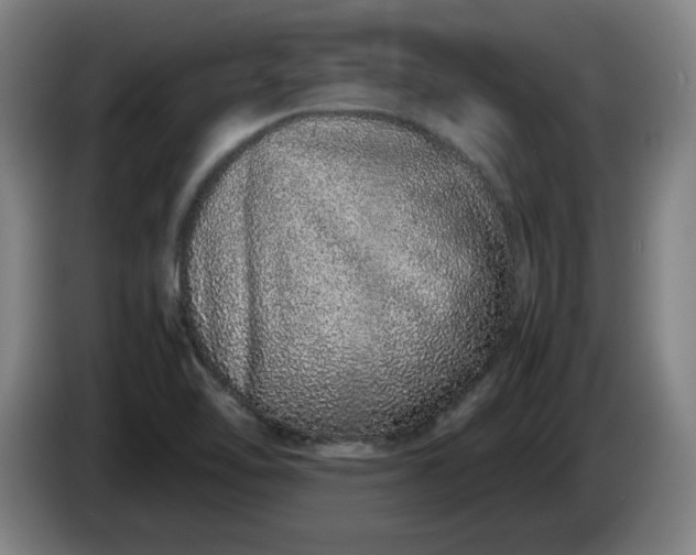 X0000085781462200703301414