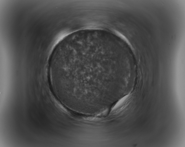 X0000085781463200703301414