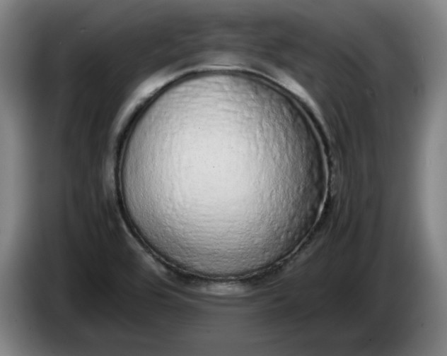 X0000085781464200703301414