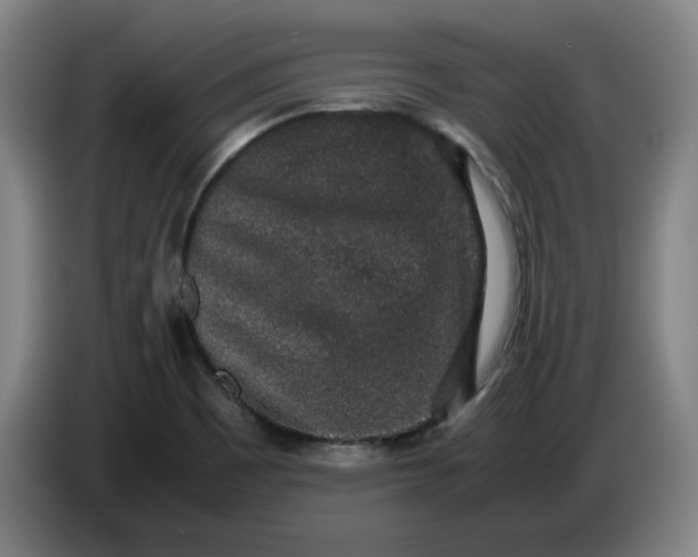 X0000085781465200703301414