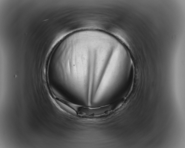 X0000085781468200703301414