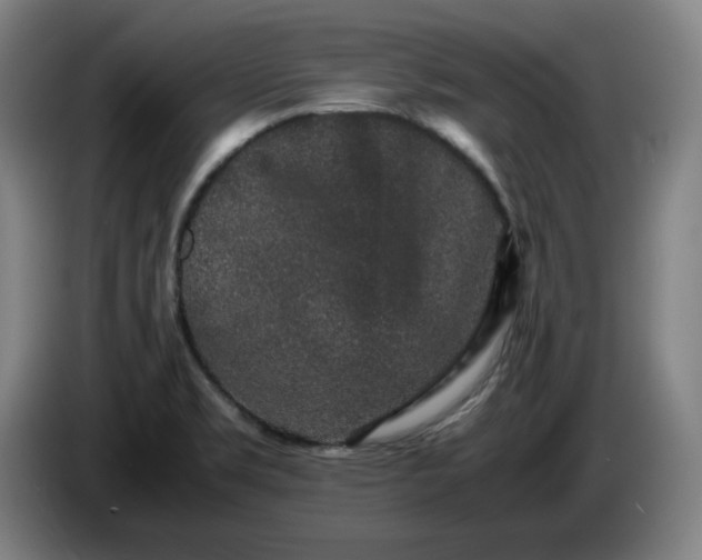 X0000085781469200703301414