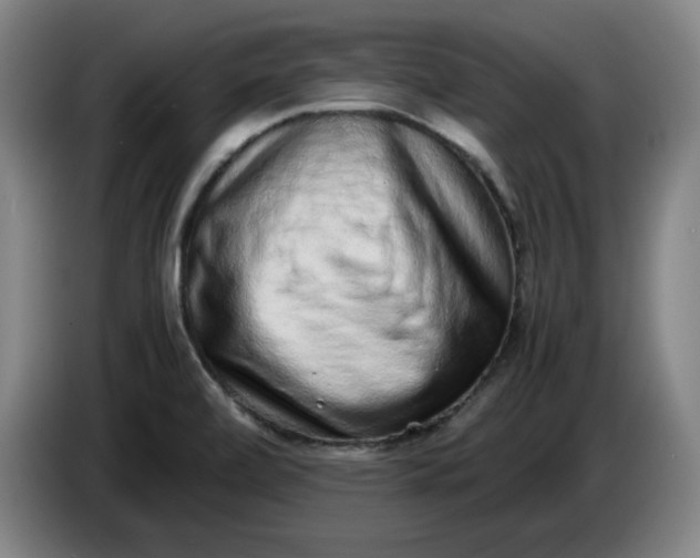 X0000085781472200703301414