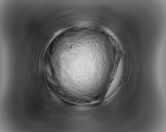 X0000085781473200703301414