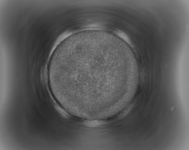 X0000085781474200703301414