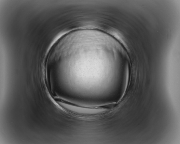 X0000085781476200703301414