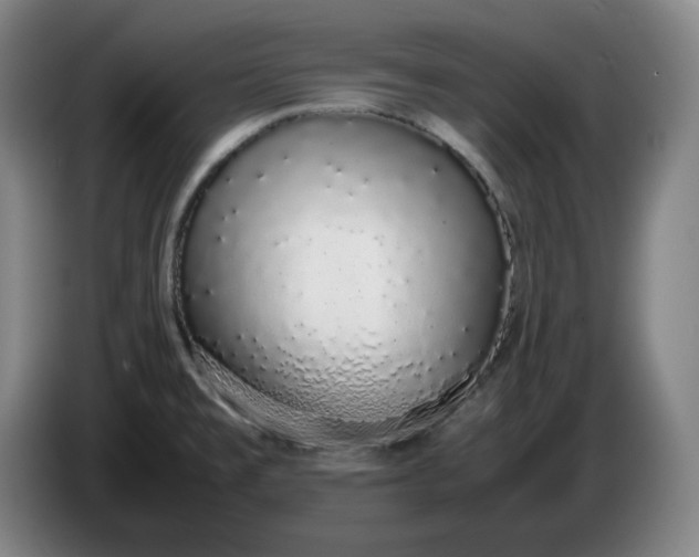 X0000085781477200703301414