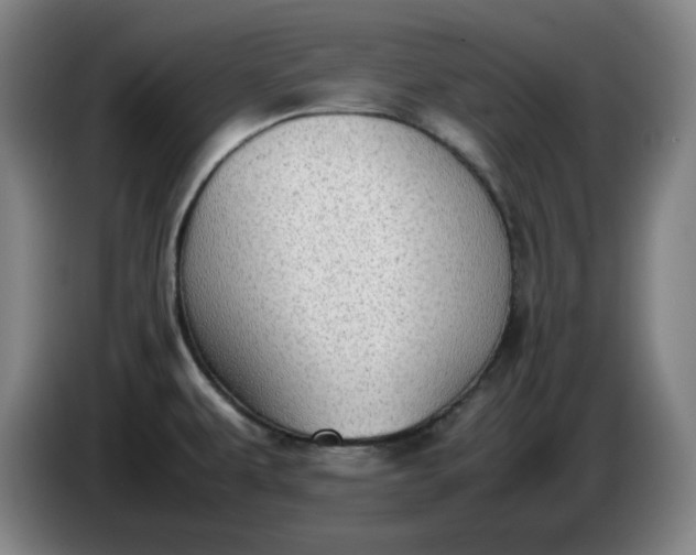 X0000085781479200703301414