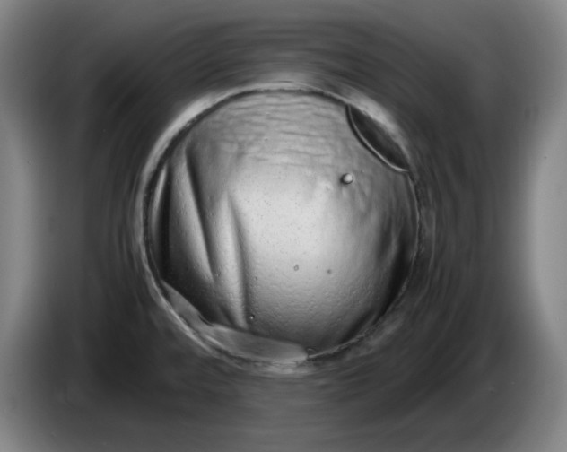 X0000085781480200703301414