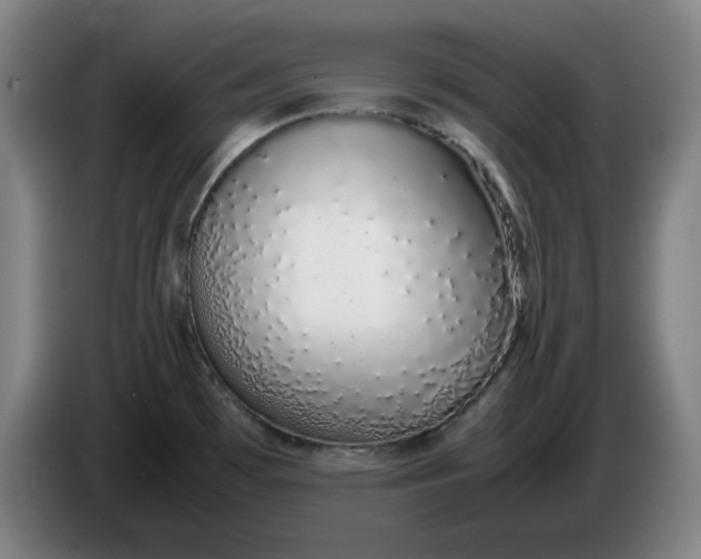 X0000085781481200703301414