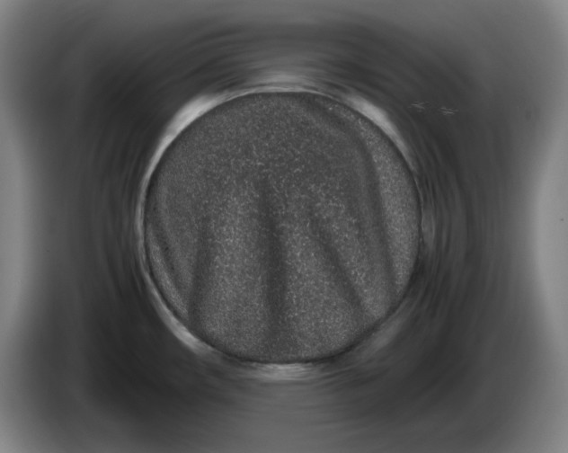 X0000085781482200703301414