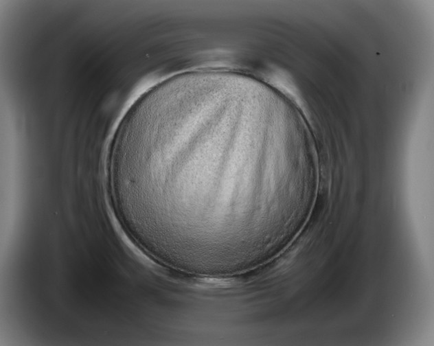 X0000085781483200703301414