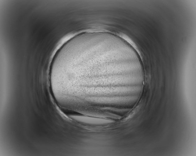 X0000085781485200703301414